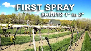 First Spray in the Vineyard 2021 ― Preventative and Systemic