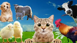 Animal sounds around us, familiar animals: Elephant, Giraffe, Horse, Cow, Dog, Cat, Pig, Chicken