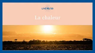 La chaleur | Live 10/20 | Raw Adventure by Mimi & Jacky