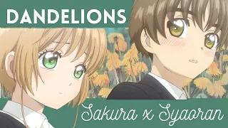 Dandelions | Sakura x Syaoran AMV