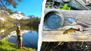 SOLO BACKPACKING and Brook Trout Fishing Catch & Cook! (This was a Hard Trip…)