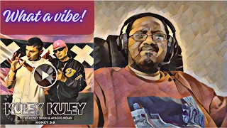 Kuley Kuley | Honey 3.0 | Yo Yo Honey Singh & Apache Indian | Reaction