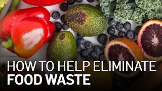 Food Waste: How Bad the Problem Is and How You Can Help Fix It