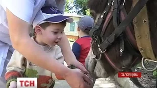 Двічі переселенців з дитбудинку в зоні АТО хочуть знов повернути в Луганську область