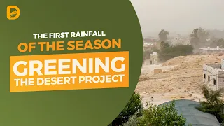 Greening the Desert: the First Rainfall of the Season