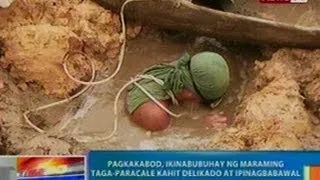 NTG: Pagkakabod, ikinabubuhay ng maraming taga-Paracale kahit delikado at ipinagbabawal