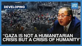 Enough Is Enough, Says Chinese Envoy To UN At UNSC | Israel Gaza | Dawn News English