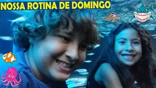 NOSSA ROTINA DE DOMINGO ★ Diversão no aquário gigante ★