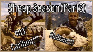 Huntin' The Country: Sheep Season (Part 3)