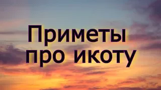 Приметы про икоту. К чему человек икает?