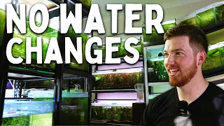 Hobbyist Fish Room with NO Water Changes | Full Tour