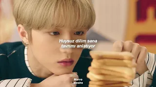 TXT - Cat & Dog (Türkçe Çeviri)