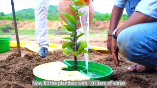 Plantbox Split self irrigation system