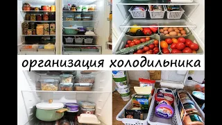 Организация холодильника! Хранение и порядок в холодильнике! Закупка продуктов и домашнего мяса!