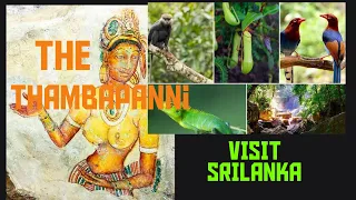 VISIT  SRILANKA  #The History #Tradition#Foods#Accomadation#Travel