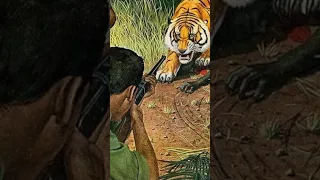 Attacked by a Tiger in the Vietnam War?