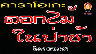 ดอกไม้ในป่าช้า (คาราโอเกะ) อัมพร แหวนเพชร