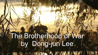 Brotherhood of War by Dong-jun Lee (TaeGukGi)