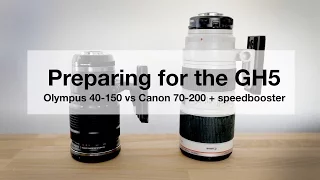 Olympus 40-150mm f2.8 vs Canon 70-200mm f2.8 IS 2