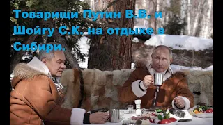 Товарищи Путин В.В. и Шойгу С.К. на отдыхе в Сибири.