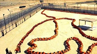 The Human Centipede 3 (Official Movie Film Cinema Theatrical Teaser Trailer) | HD