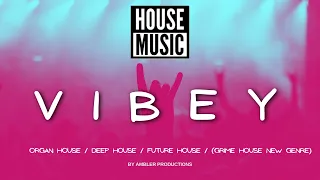 Vibey House Mix 2024