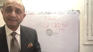 Blood-RBCs& platelets 1sty