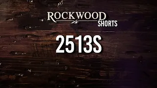 NEW Rockwood Mini Lite 2513S #Shorts