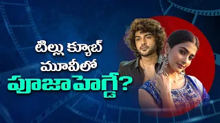 టిల్లు క్యూబ్ మూవీలో పూజాహెగ్డే? | Pooja Hegde in Tillu Cube movie? | SouthFirstTelugu