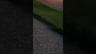 Nice Ferrari backing out of driveway