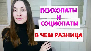 Психопат и социопат: в чем отличия