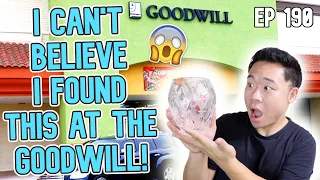 I Can't Believe I Found this at the Goodwill! Trip to the Thrift Ep 190