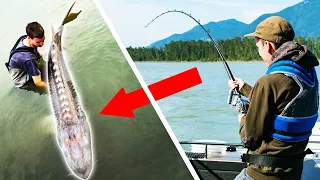 Top 10 best fishing catches