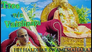 Plant v/s Vaishnava || ବୃକ୍ଷ ଓ ବୈଷ୍ଣବଙ୍କ ମଧ୍ୟରେ ପାର୍ଥକ୍ୟ?(Odia) || HH Haladhara Swami Maharaj