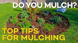 Top tips for mulching your garden