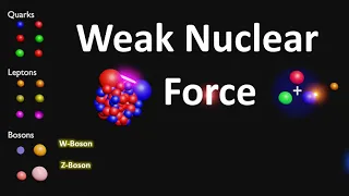 Weak Nuclear Force | Weak Force | What is Weak Nuclear Force | Strong Nuclear Force