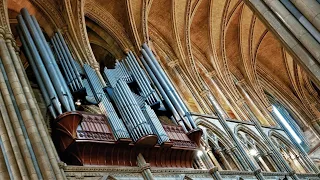 Organ Recital: Jan Liebermann