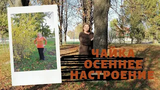 Чайка "Осеннее настроение" 🍁🍂🍁🍂🍁🍂🍁🍂🍁#полигональная_чайка