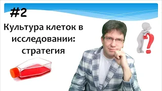 Культуры клеток в исследовании: стратегия использования. Культивирование клеток.