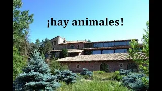 encontramos ANIMALES en HOTEL abandonado lugares abandonados urbex