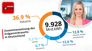 Deutschland im Gas-Dilemma: So hart würde uns ein Import-Stopp wirklich treffen