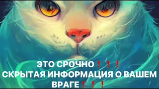 🔥ЭТО СРОЧНО❗️СКРЫТАЯ ИНФОРМАЦИЯ О ВРАГЕ❗️❗️❗️🔥