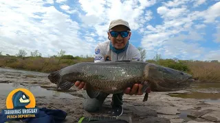 🔥 Tararira Muy Grande en el norte de Uruguay 🤯 | Pesca Tarariras Uruguay