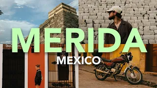 TRAVEL TO MÉRIDA, MEXICO WITH US (4 DAY ITINERARY)