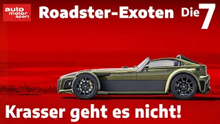 Radikale Roadster: sind sie zu stark, bist du zu schwach!  I auto motor und sport