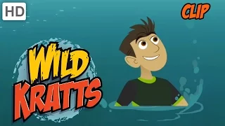 Wild Kratts - Olympic Diving