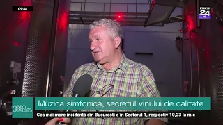 Vinul, creat după legende străvechi. Viile de la Viișoara, readuse la viață. #Digi24 #Agrojurnal.