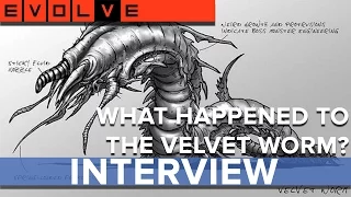 What happened to the Velvet Worm? - Evolve - Eurogamer