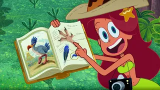 Zig & Sharko | The rare bird (SPECIAL SEASON 3) New Episodes in HD