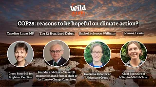 Wild LIVE: COP28 - reasons to be hopeful on climate action?